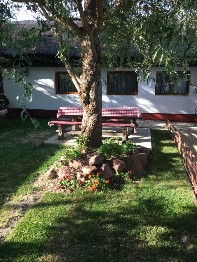 Balatonkenesei Nadfedeles Lovas Vendeghaz Villa Exteriör bild