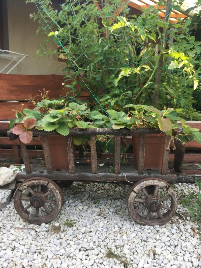 Balatonkenesei Nadfedeles Lovas Vendeghaz Villa Exteriör bild